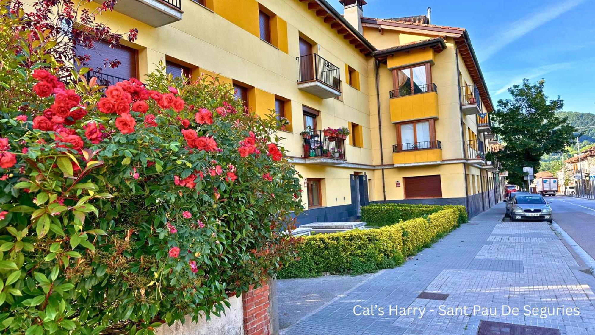 Cal Harrys - La Mejor Casa De Vacaciones En Pyrenees Con Vistas A La Montana Sant Pau de Seguries Exterior photo